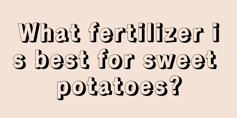 What fertilizer is best for sweet potatoes?