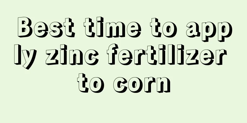 Best time to apply zinc fertilizer to corn