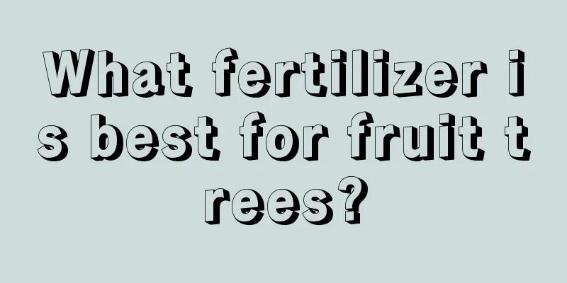 What fertilizer is best for fruit trees?