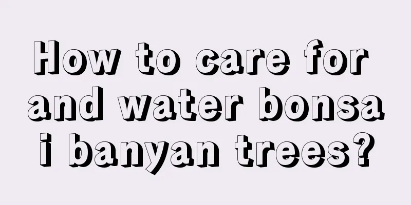 How to care for and water bonsai banyan trees?