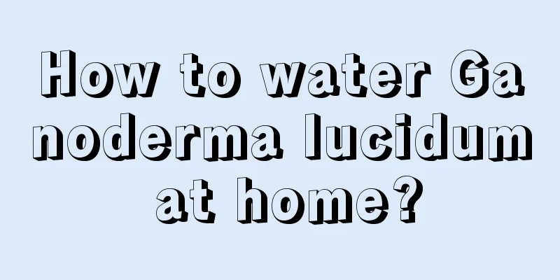 How to water Ganoderma lucidum at home?