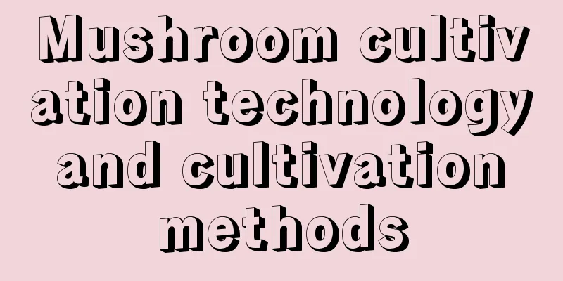 Mushroom cultivation technology and cultivation methods