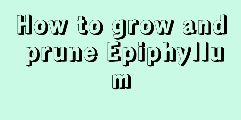 How to grow and prune Epiphyllum