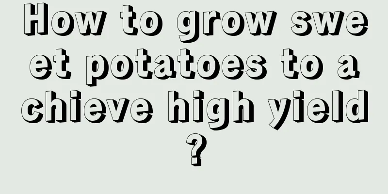 How to grow sweet potatoes to achieve high yield?