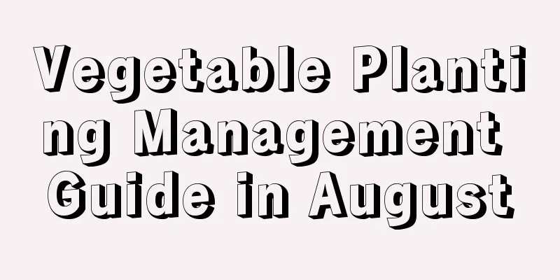 Vegetable Planting Management Guide in August