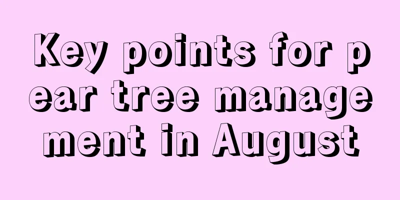 Key points for pear tree management in August