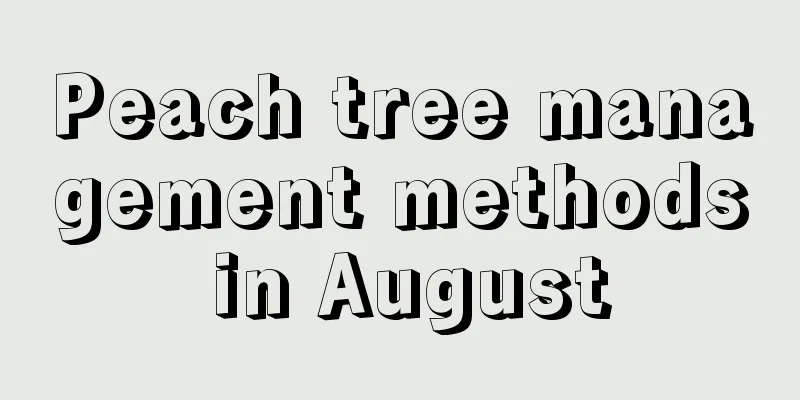 Peach tree management methods in August