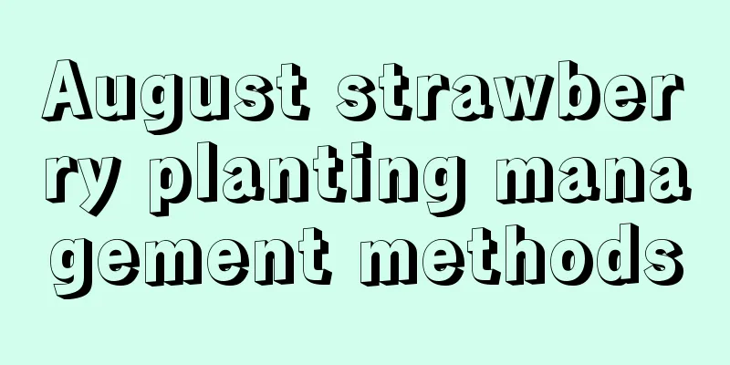 August strawberry planting management methods