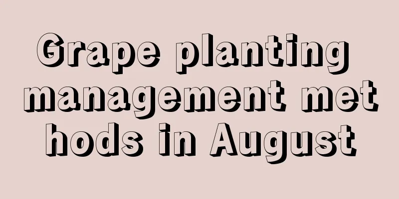 Grape planting management methods in August