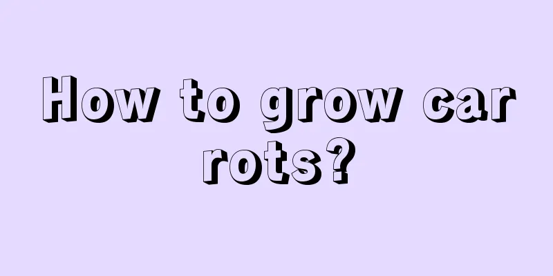 How to grow carrots?