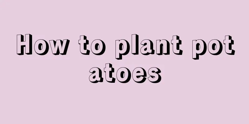 How to plant potatoes