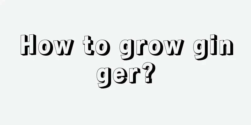 How to grow ginger?