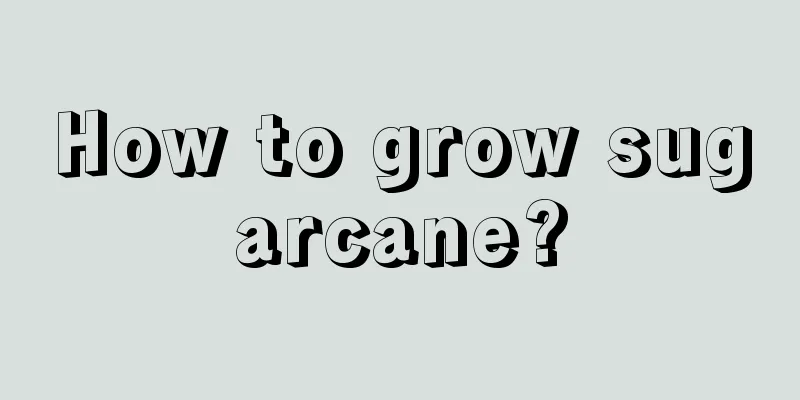 How to grow sugarcane?