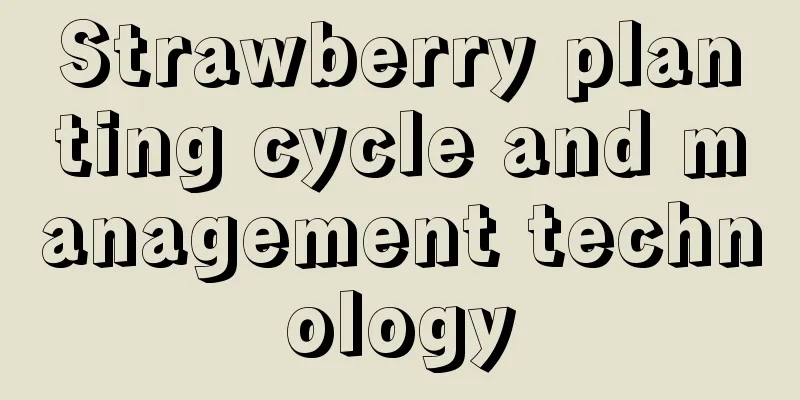 Strawberry planting cycle and management technology