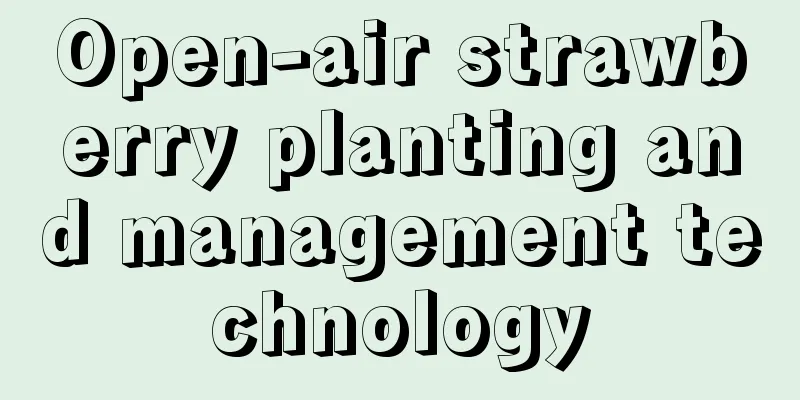 Open-air strawberry planting and management technology