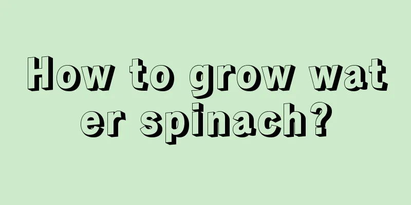 How to grow water spinach?