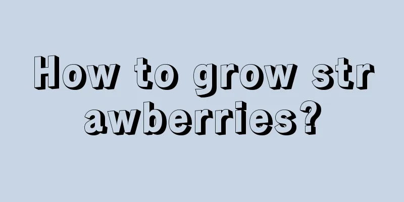 How to grow strawberries?