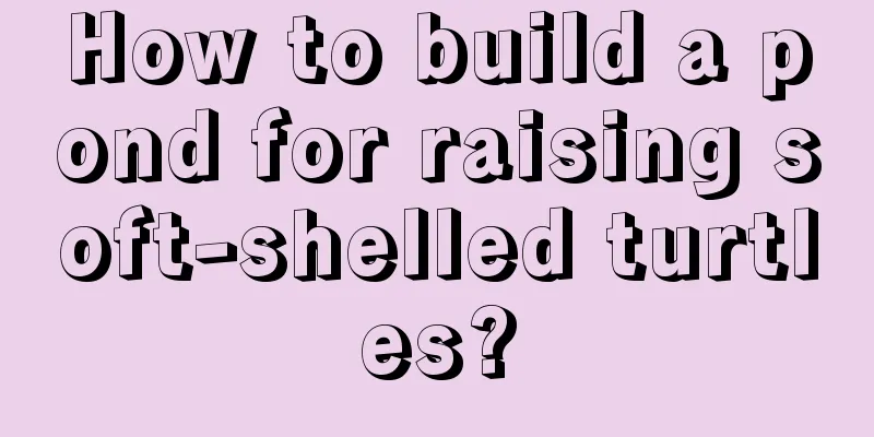 How to build a pond for raising soft-shelled turtles?