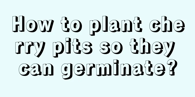 How to plant cherry pits so they can germinate?