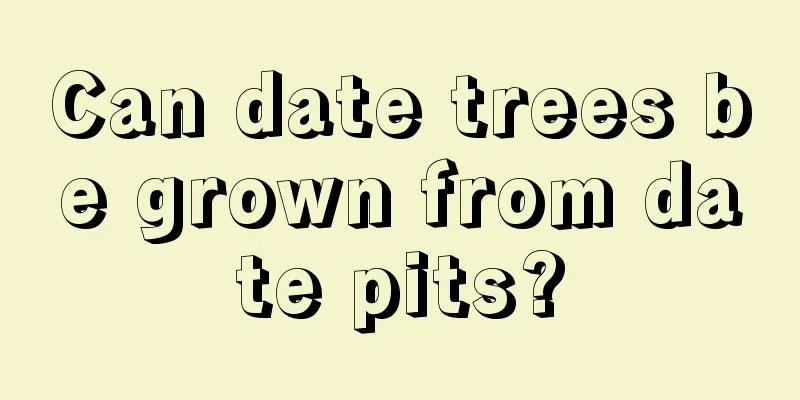 Can date trees be grown from date pits?