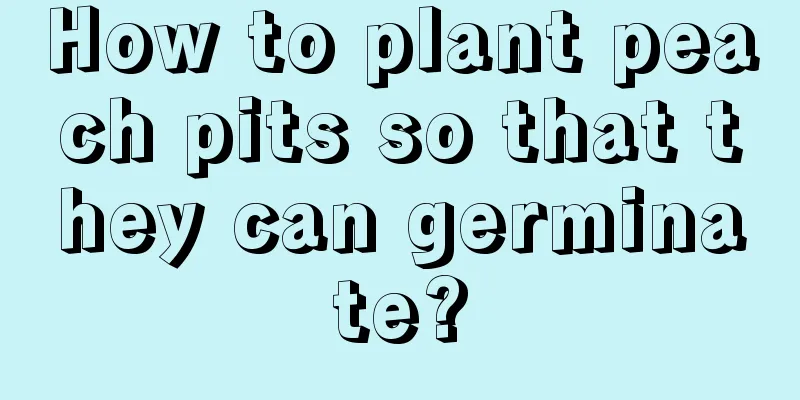 How to plant peach pits so that they can germinate?