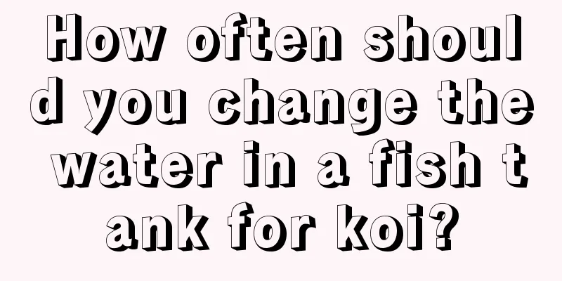 How often should you change the water in a fish tank for koi?