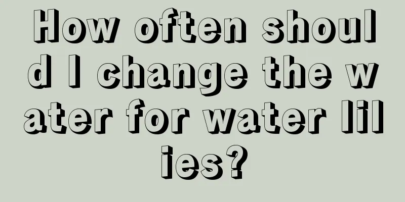 How often should I change the water for water lilies?