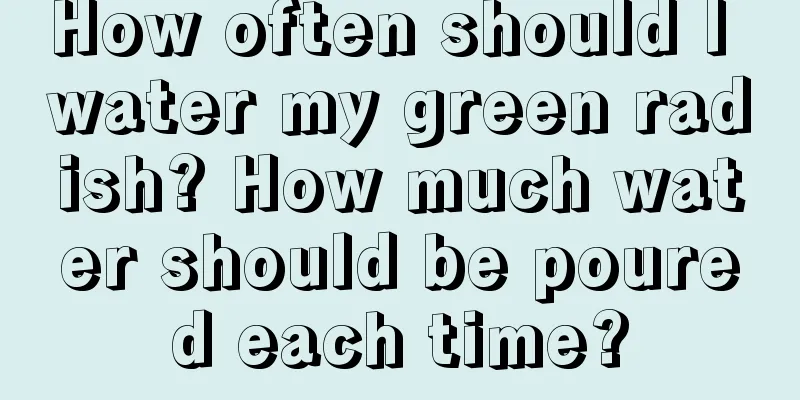 How often should I water my green radish? How much water should be poured each time?