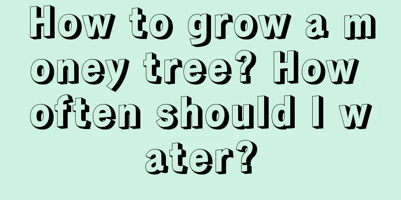 How to grow a money tree? How often should I water?