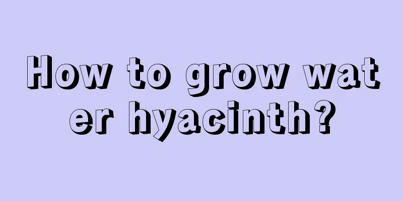 How to grow water hyacinth?