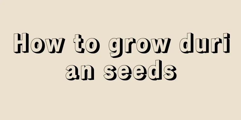 How to grow durian seeds