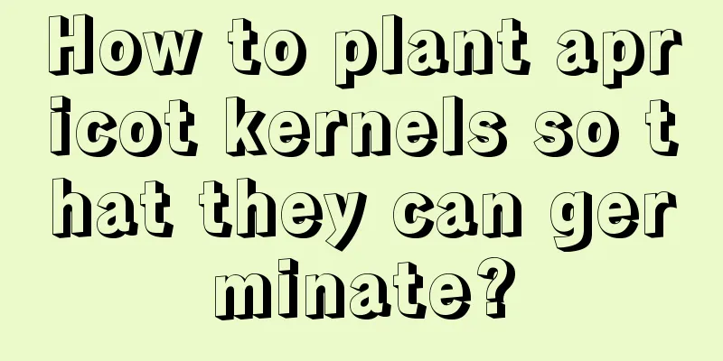 How to plant apricot kernels so that they can germinate?