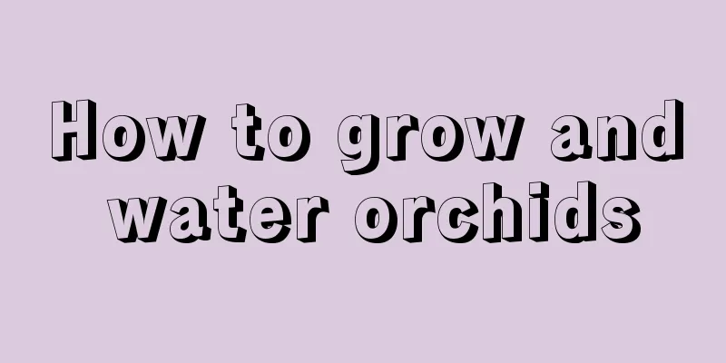 How to grow and water orchids