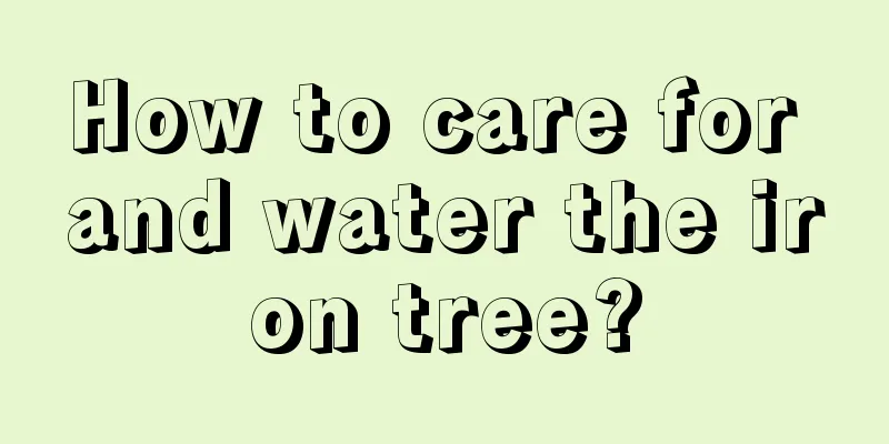 How to care for and water the iron tree?