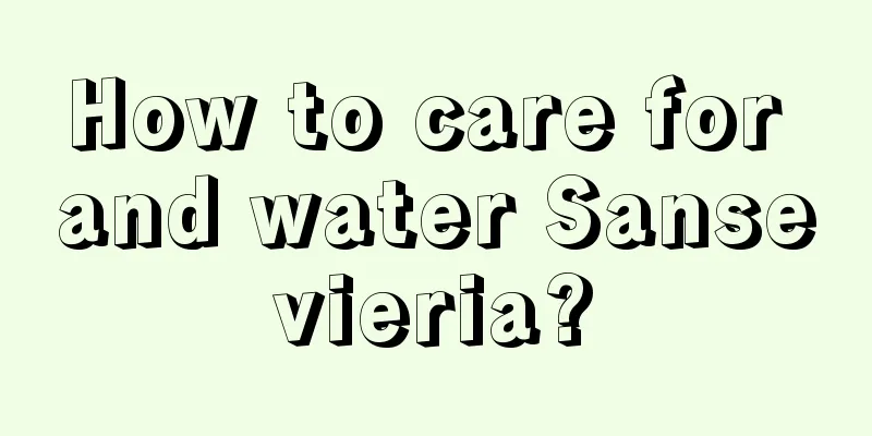 How to care for and water Sansevieria?