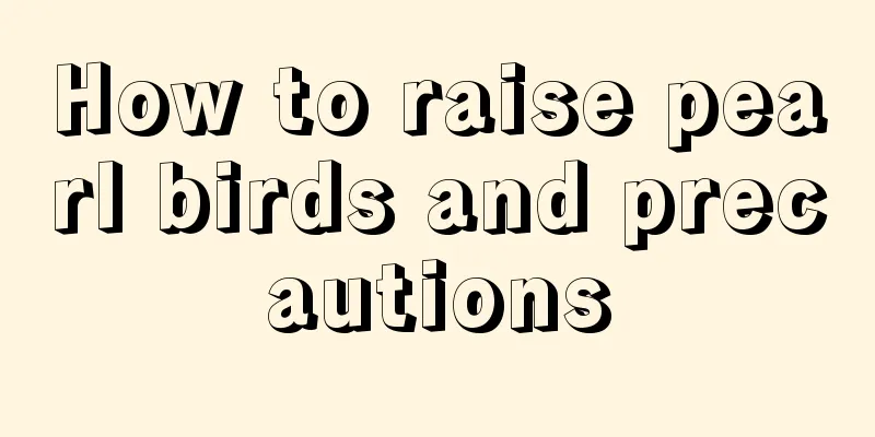 How to raise pearl birds and precautions