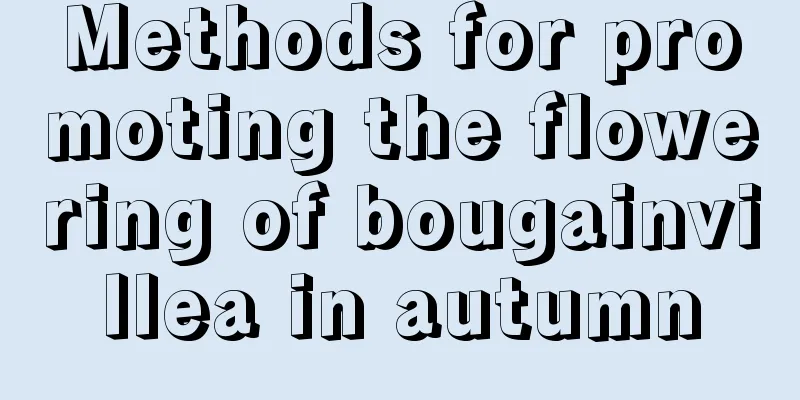 Methods for promoting the flowering of bougainvillea in autumn