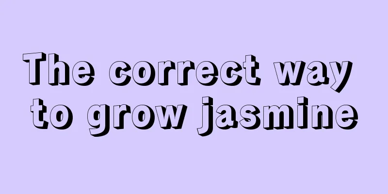 The correct way to grow jasmine