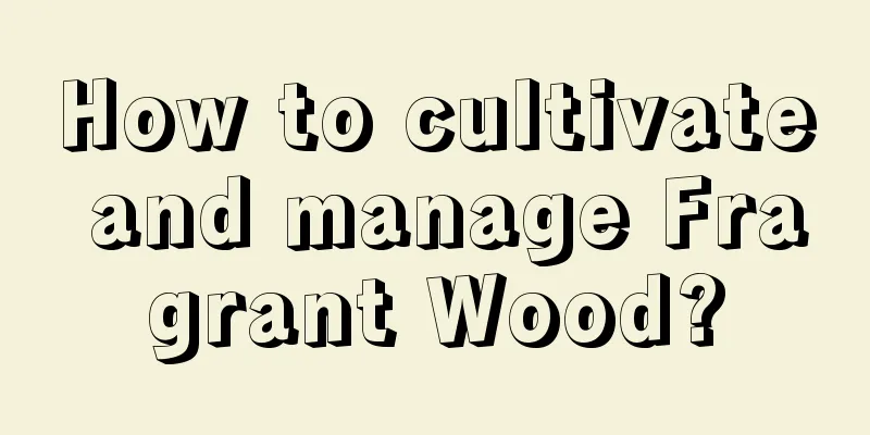 How to cultivate and manage Fragrant Wood?