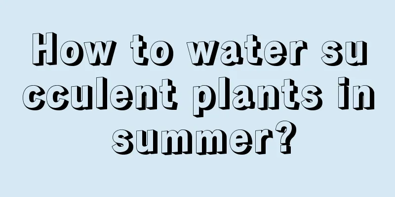 How to water succulent plants in summer?