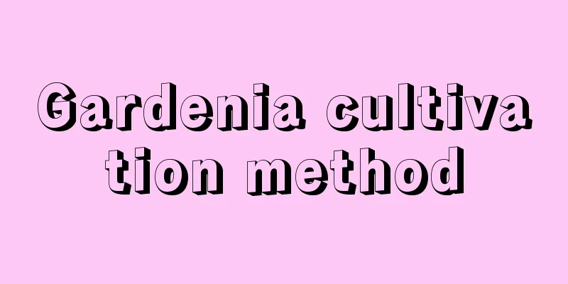 Gardenia cultivation method