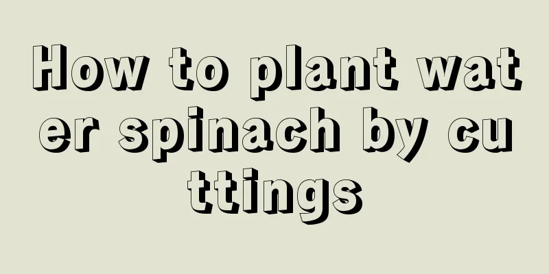 How to plant water spinach by cuttings