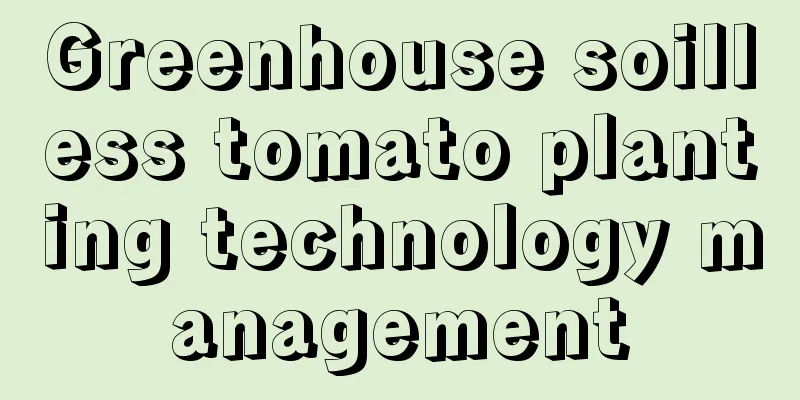 Greenhouse soilless tomato planting technology management