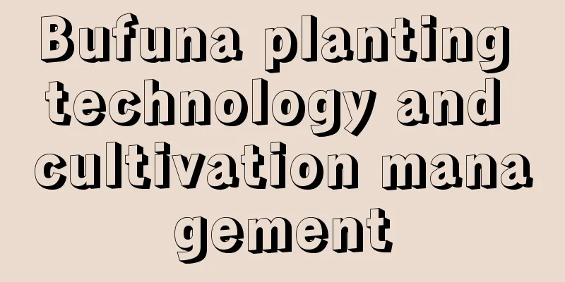 Bufuna planting technology and cultivation management