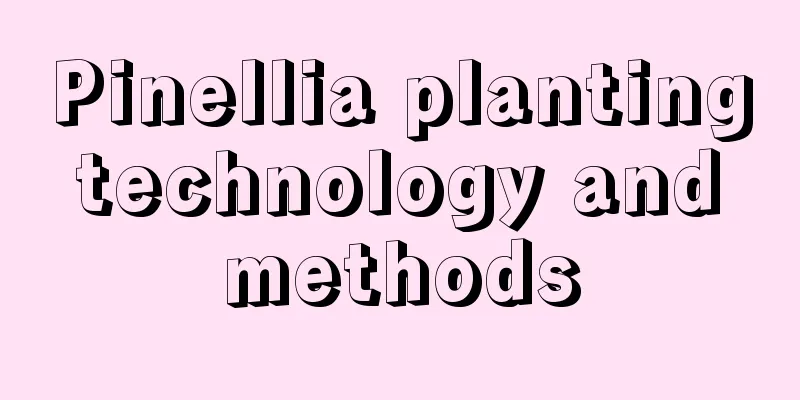 Pinellia planting technology and methods