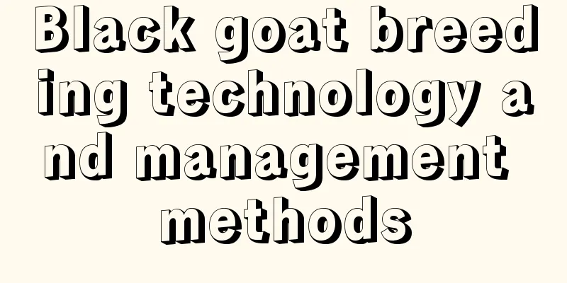 Black goat breeding technology and management methods