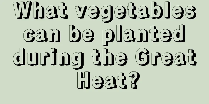 What vegetables can be planted during the Great Heat?