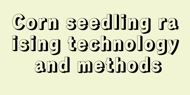 Corn seedling raising technology and methods