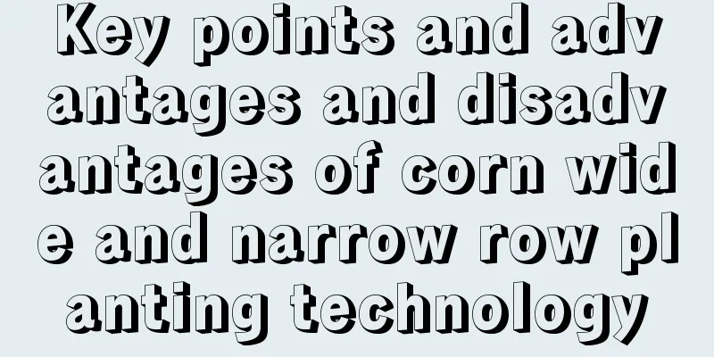 Key points and advantages and disadvantages of corn wide and narrow row planting technology