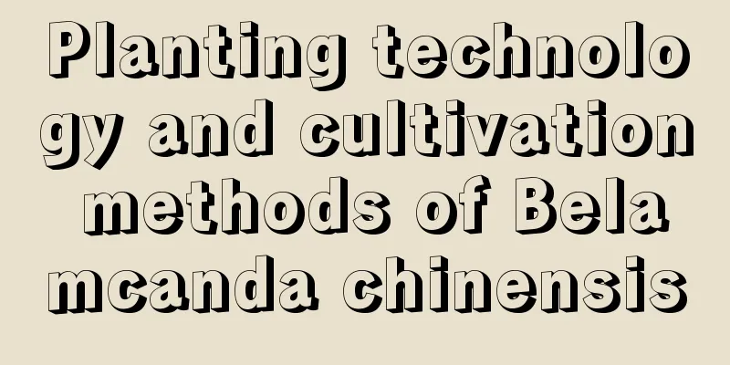 Planting technology and cultivation methods of Belamcanda chinensis